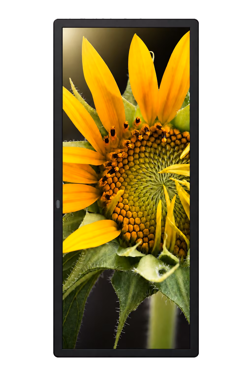 Wall Vertical 43″ — celé vyobrazení