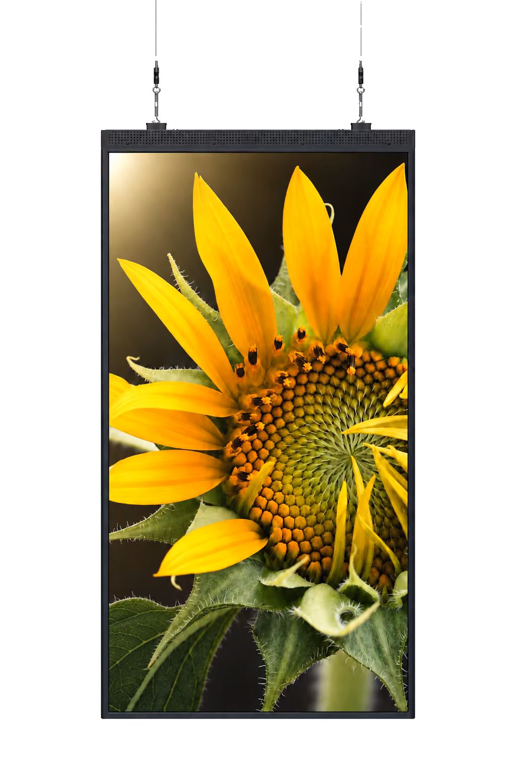 Slim Double Side 55″ — celé vyobrazení